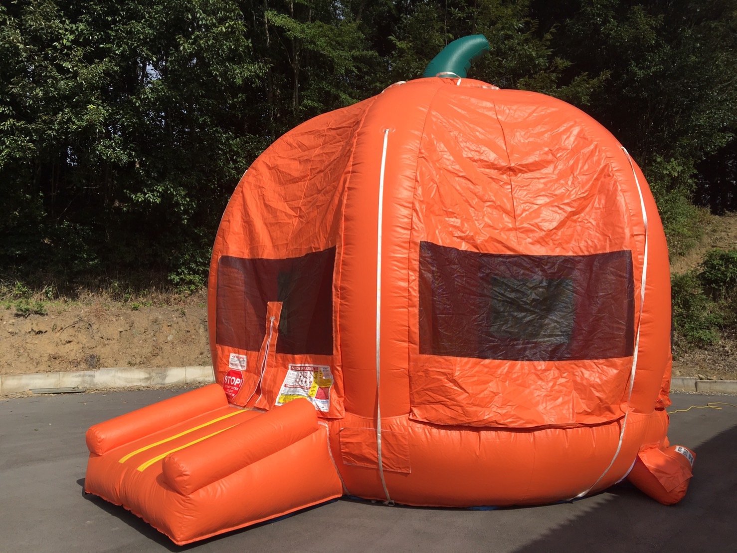 パンプキン バウンサー