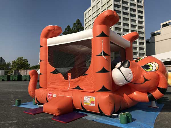 タイガーバウンサー